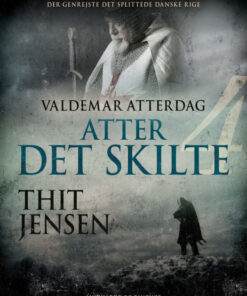 Atter det skilte (Bog)