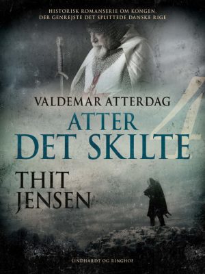 Atter det skilte (Bog)