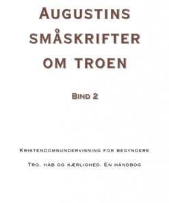 Augustins småskrifter om troen, bind 2 (E-bog)