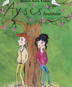 Ayses forelskelse (E-bog)