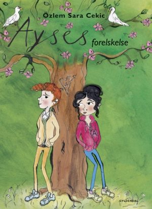 Ayses forelskelse (E-bog)