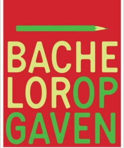 Bacheloropgaven - Gitte Riis Hansen - Bog