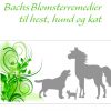 Bachs Blomsterremedier til hest, hund og kat (Bog)