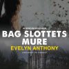 Bag slottets mure (Bog)