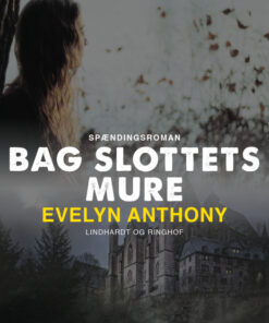 Bag slottets mure (Bog)