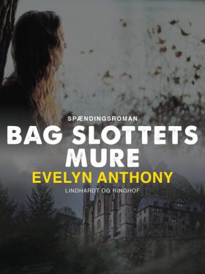 Bag slottets mure (Bog)