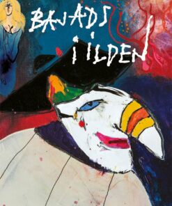 Bajads I Ilden - Niels Vandrefalk - Bog