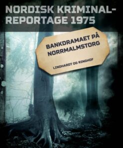 Bankdramaet på Norrmalmstorg (E-bog)
