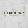 Bare Beton (Bog)