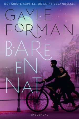 Bare en nat (E-bog)