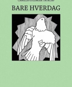 Bare hverdag (Bog)
