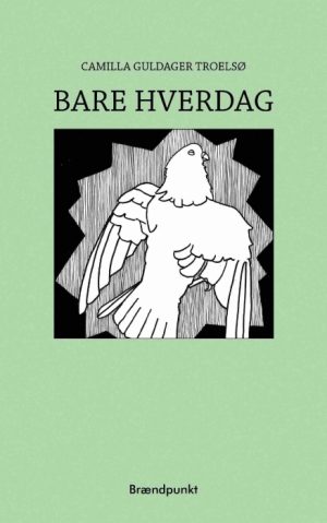 Bare hverdag (Bog)