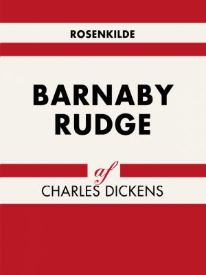 Barnaby Rudge (Bog)