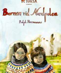 Barnen vid Nordpolen (E-bog)