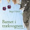 Barnet I Trækvognen - Birgit Filskov - Bog