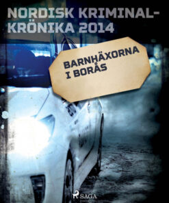 Barnhäxorna i Borås (E-bog)