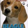 Beagle (Bog)