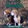 Beagle (Bog)