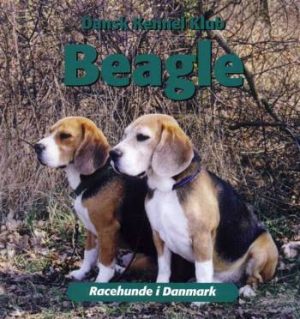 Beagle (Bog)