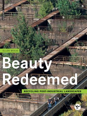 Beauty Redeemed (Bog)