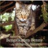 Bengalkatten Benny - og springeren Matisse (Bog)