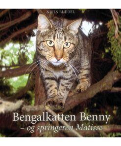 Bengalkatten Benny - og springeren Matisse (Bog)
