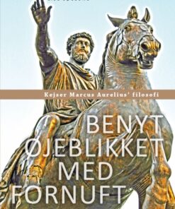 Benyt øjeblikket med fornuft (E-bog)