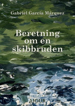 Beretning om en skibbruden (E-bog)