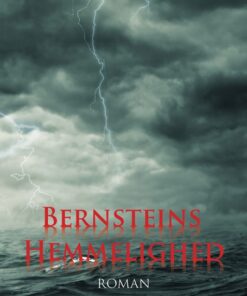 Bernsteins Hemmelighed (E-bog)