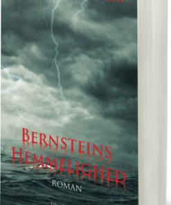 Bernsteins Hemmelighed - Morten Thor Hansen - Bog