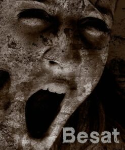 Besat - Michael Sørensen - Bog