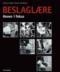 Beslaglære (Bog)