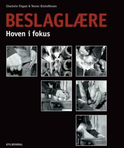 Beslaglære - Verner Kristoffersen - Bog