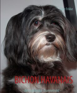 Bichon Havanais (Bog)