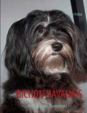 Bichon Havanais (Bog)