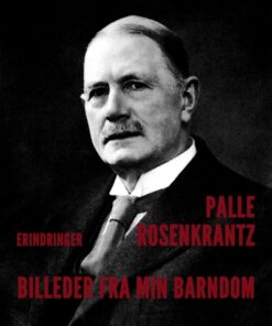 Billeder fra min barndom, nedskrevne efter erindring (E-bog)
