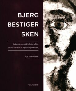 Bjergbestigersken - Kis Henriksen - Bog