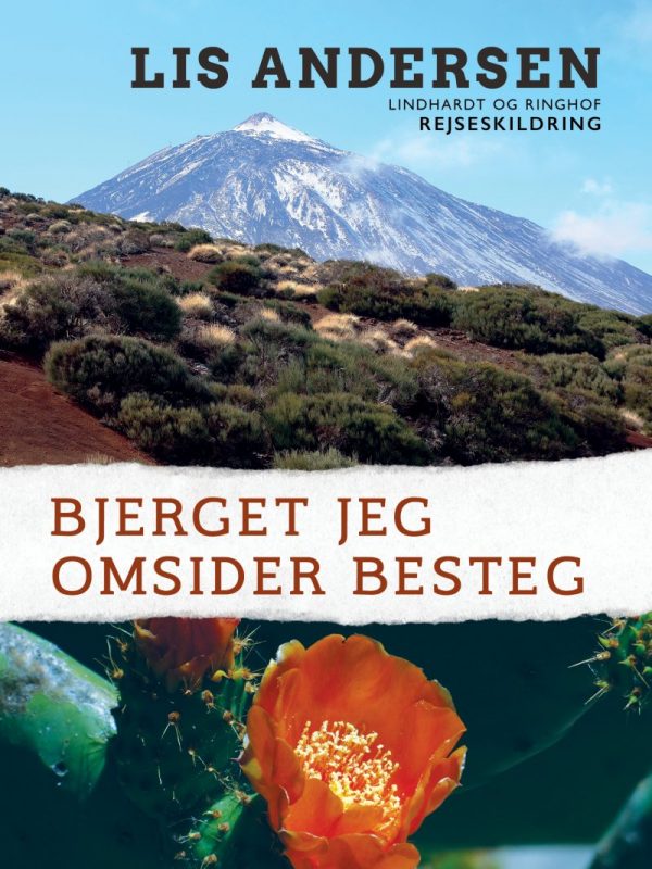 Bjerget Jeg Omsider Besteg - Lis Andersen - Bog