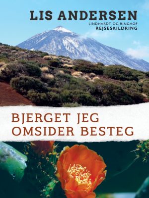 Bjerget jeg omsider besteg (Bog)