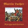 Bjergprædikenen - Finn B. Andersen - Bog