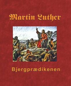 Bjergprædikenen - Finn B. Andersen - Bog