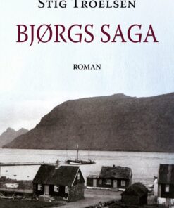 Bjørgs Saga - Stig Troelsen - Bog