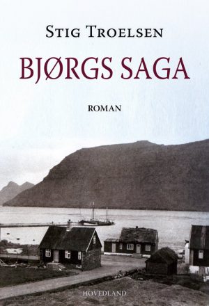 Bjørgs Saga - Stig Troelsen - Bog