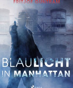 Blaulicht in Manhattan (E-bog)