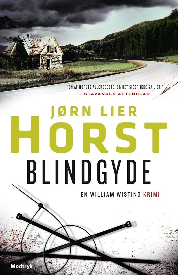 Blindgyde - Jørn Lier Horst - Bog