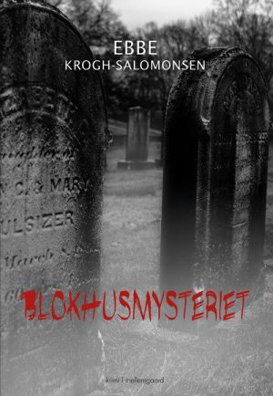 Blokhusmysteriet - Ebbe Krogh-salomonsen - Bog