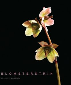 Blomsterstrik - Annette Danielsen - Bog