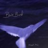 Blue Bird - Vigdis Knag Hoff - Bog