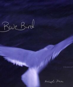 Blue Bird - Vigdis Knag Hoff - Bog