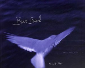 Blue Bird - Vigdis Knag Hoff - Bog